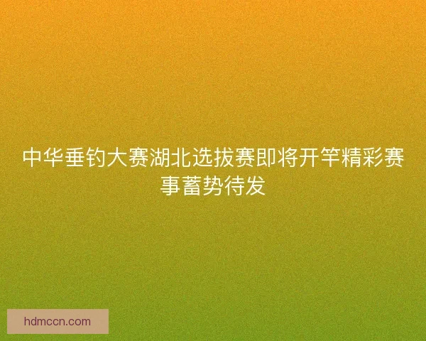 中华垂钓大赛湖北选拔赛即将开竿精彩赛事蓄势待发